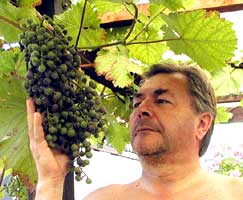 Der Webmaster hat eine Vorliebe für Weine aus der Pfalz. Im Bild: SEIN Dornfelder in 2003!